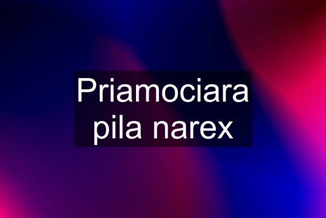 Priamociara pila narex