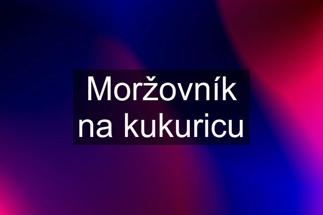 Moržovník na kukuricu