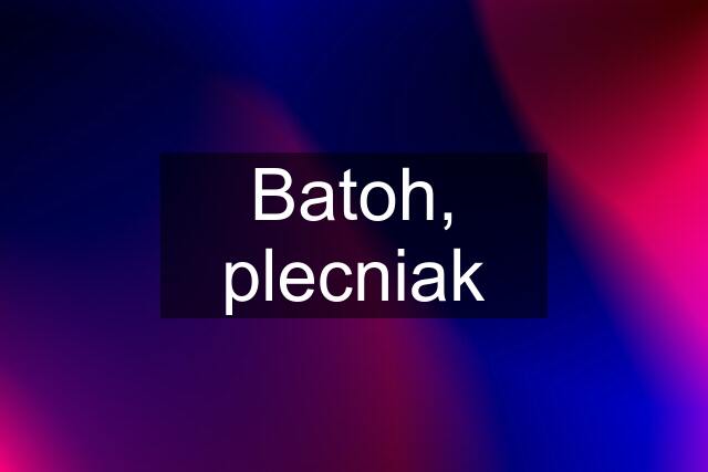 Batoh, plecniak