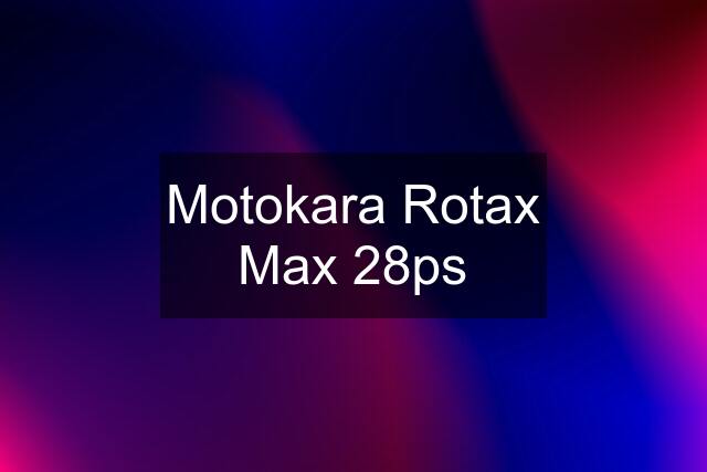 Motokara Rotax Max 28ps