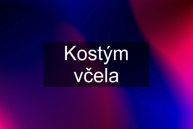 Kostým včela