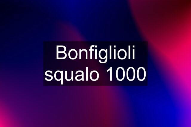 Bonfiglioli squalo 1000