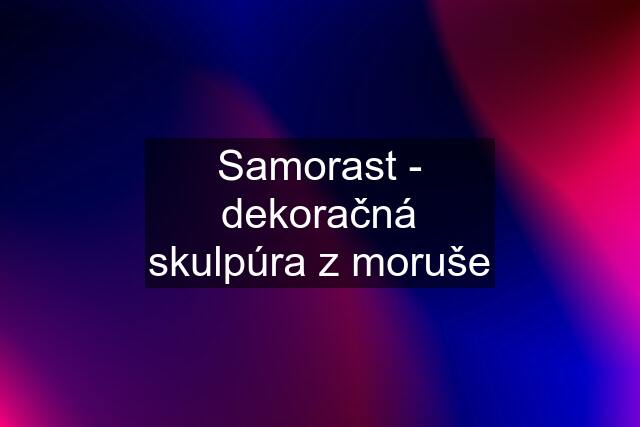 Samorast - dekoračná skulpúra z moruše