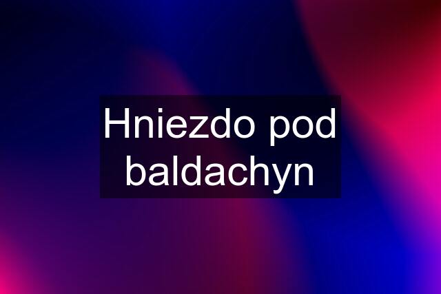 Hniezdo pod baldachyn