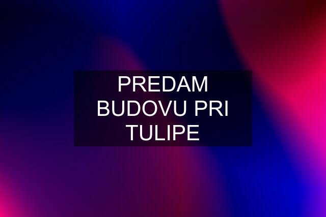 PREDAM BUDOVU PRI TULIPE