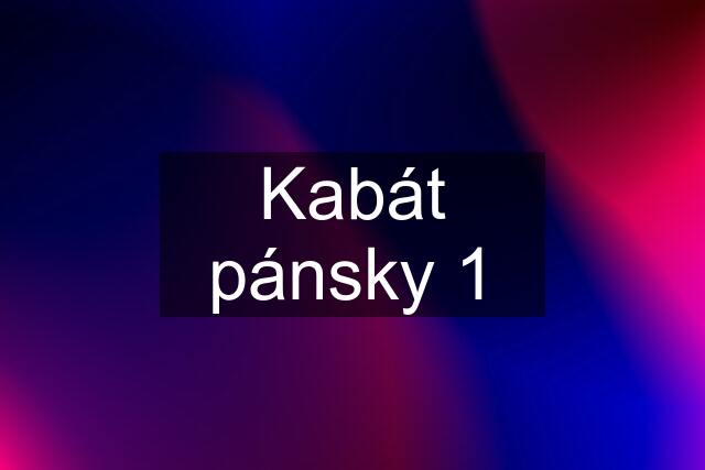 Kabát pánsky 1