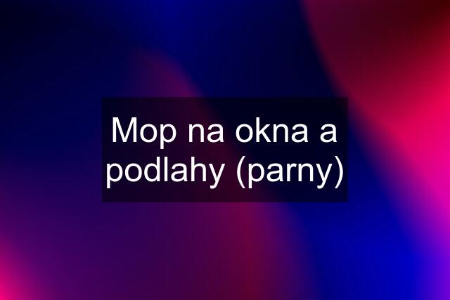 Mop na okna a podlahy (parny)