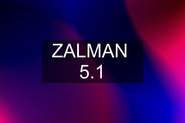 ZALMAN  5.1