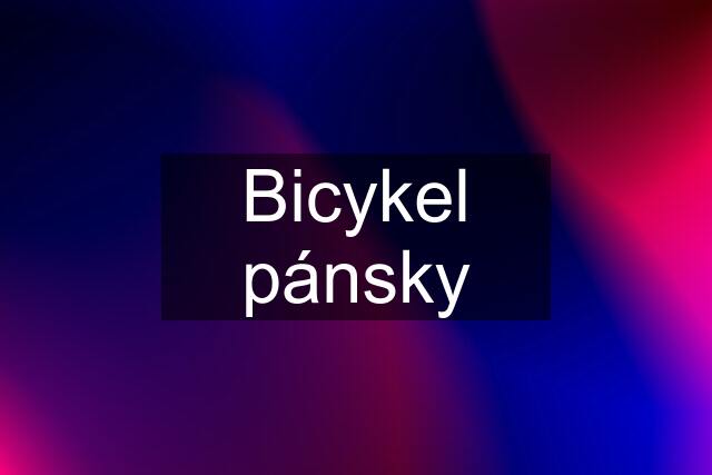 Bicykel pánsky