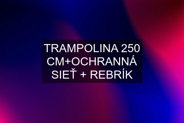 TRAMPOLINA 250 CM+OCHRANNÁ SIEŤ + REBRÍK