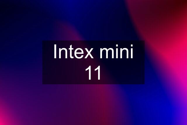 Intex mini 11