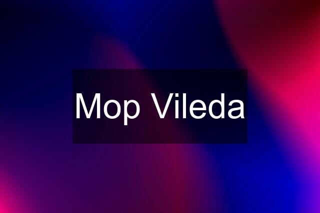 Mop Vileda