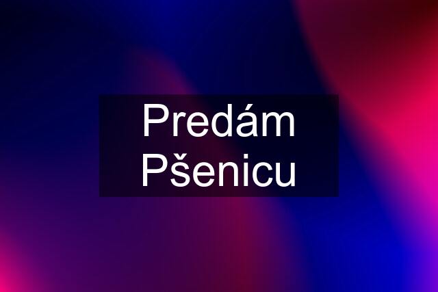 Predám Pšenicu