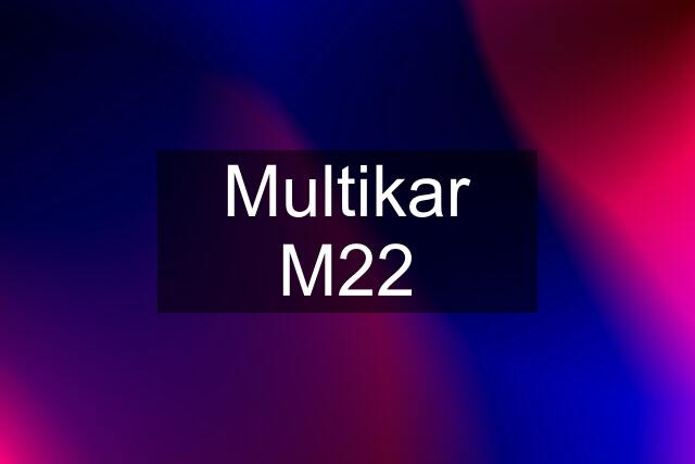 Multikar M22