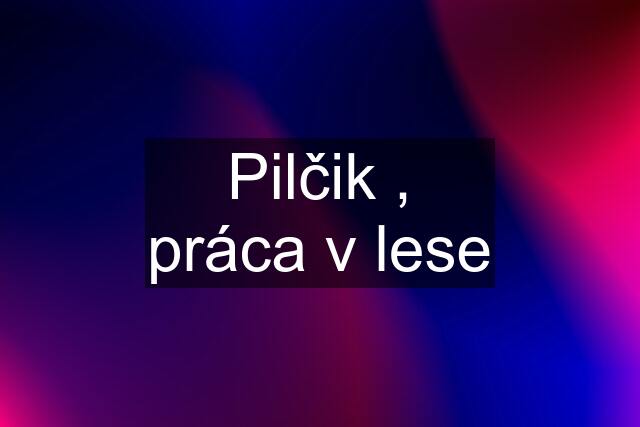 Pilčik , práca v lese