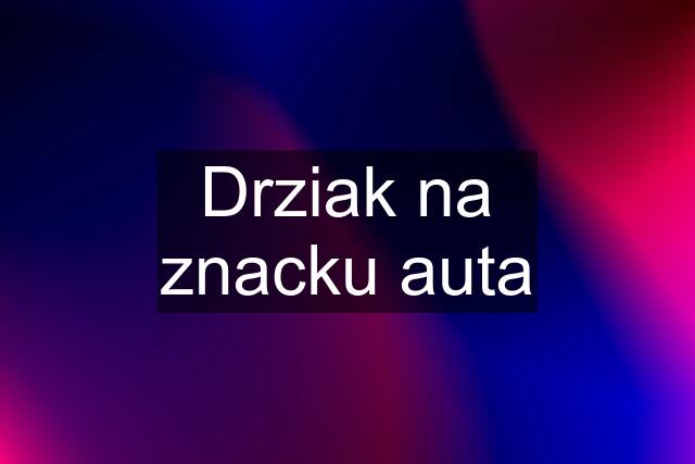 Drziak na znacku auta