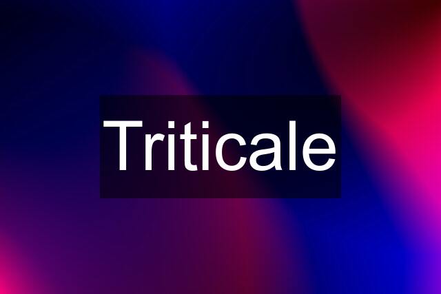 Triticale