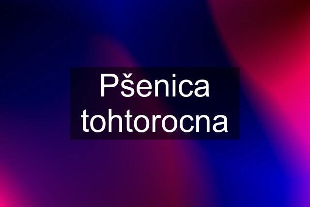 Pšenica tohtorocna