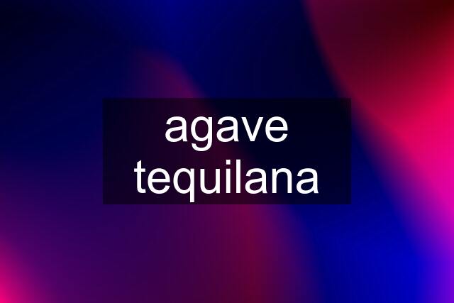 agave tequilana