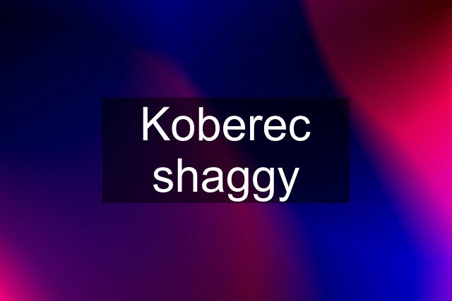 Koberec shaggy