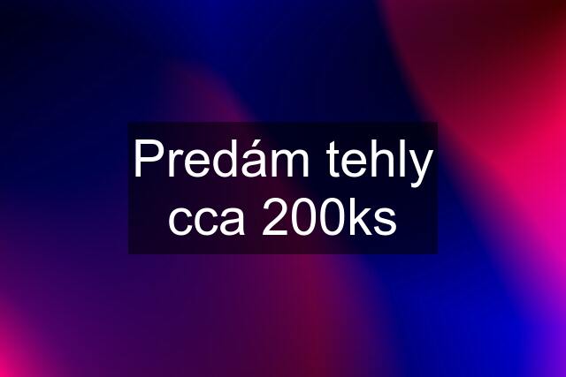 Predám tehly cca 200ks