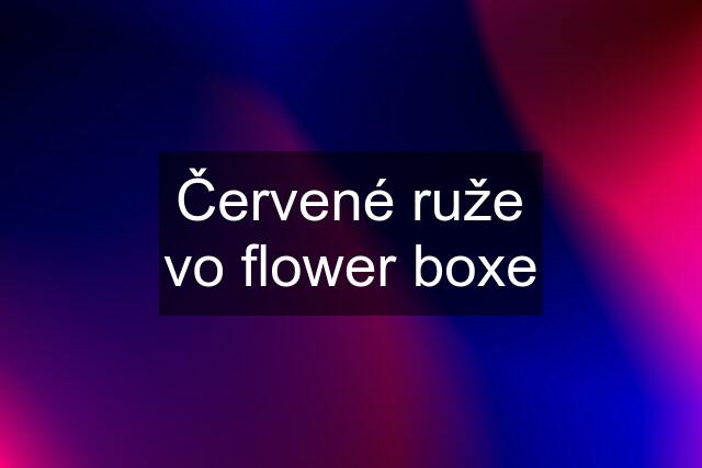 Červené ruže vo flower boxe