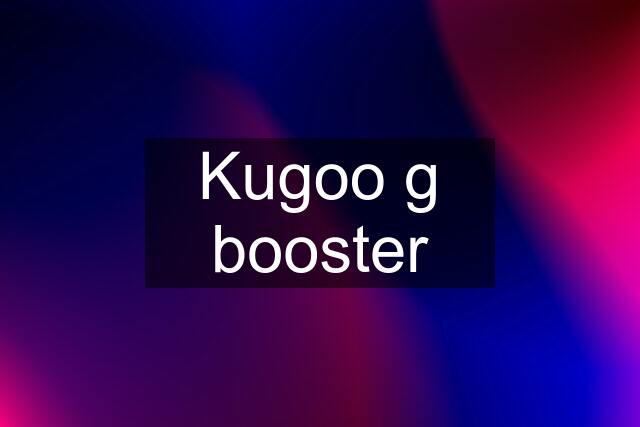 Kugoo g booster