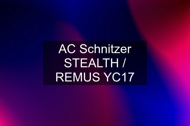 AC Schnitzer STEALTH / REMUS YC17