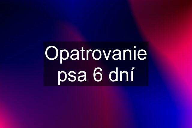 Opatrovanie psa 6 dní