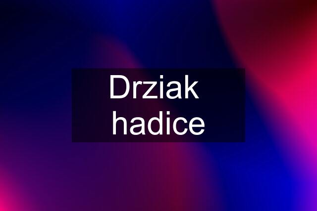 Drziak  hadice