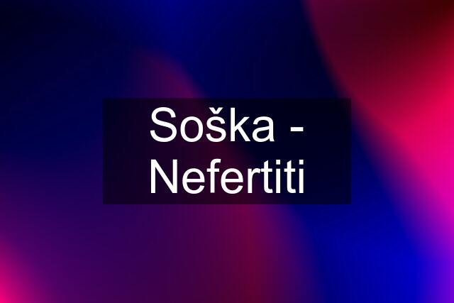 Soška - Nefertiti