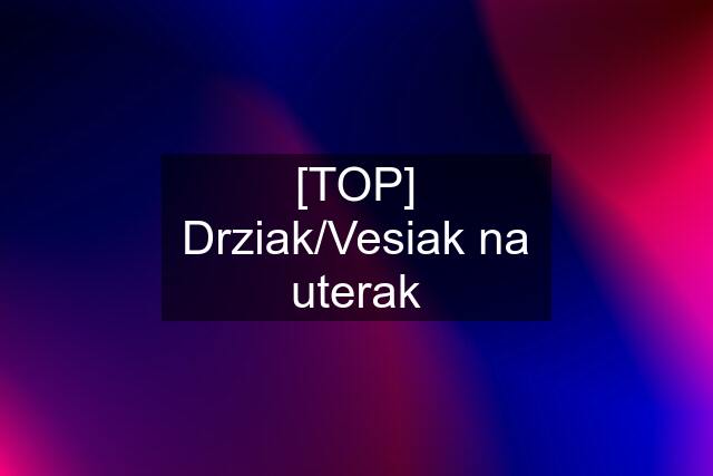 [TOP] Drziak/Vesiak na uterak