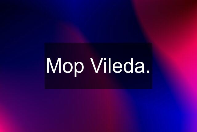 Mop Vileda.