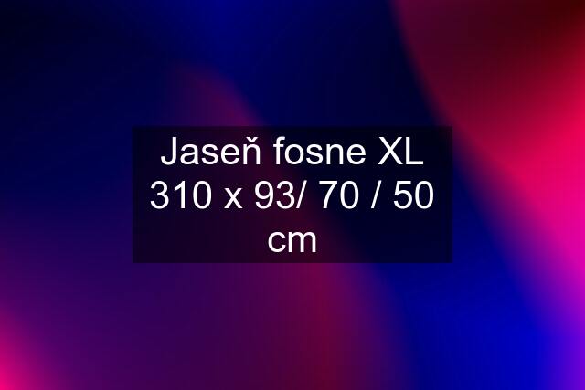 Jaseň fosne XL 310 x 93/ 70 / 50 cm