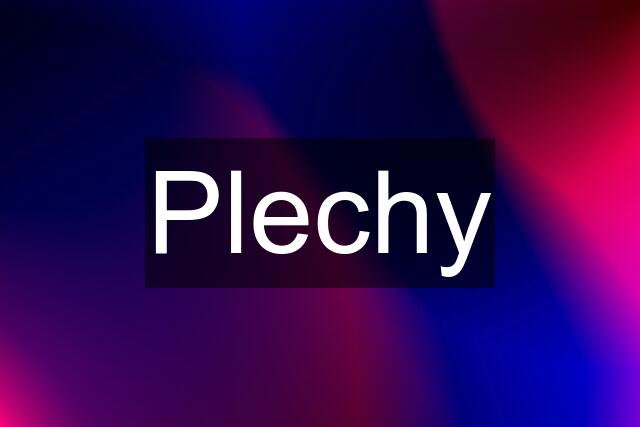 Plechy