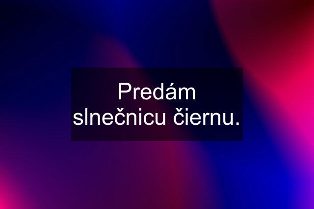 Predám slnečnicu čiernu.