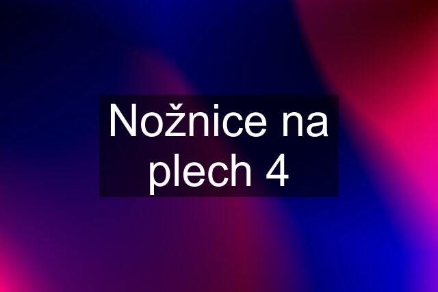 Nožnice na plech 4