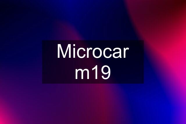 Microcar m19