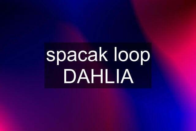 spacak loop DAHLIA