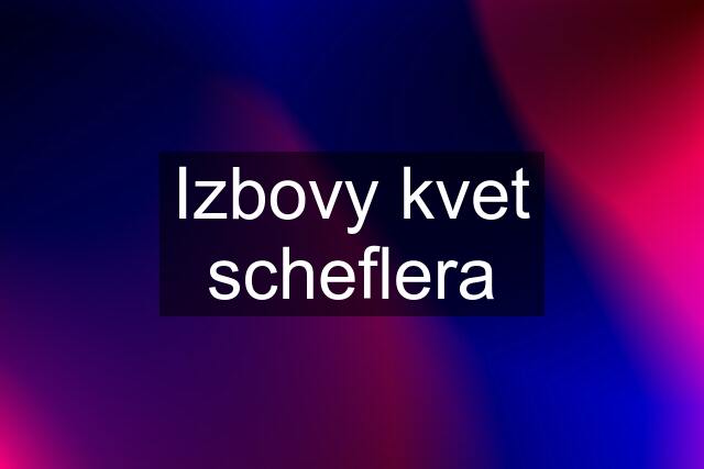 Izbovy kvet scheflera