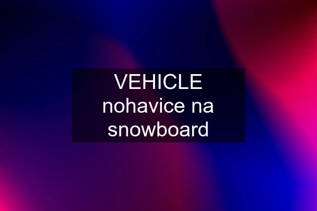 VEHICLE nohavice na snowboard