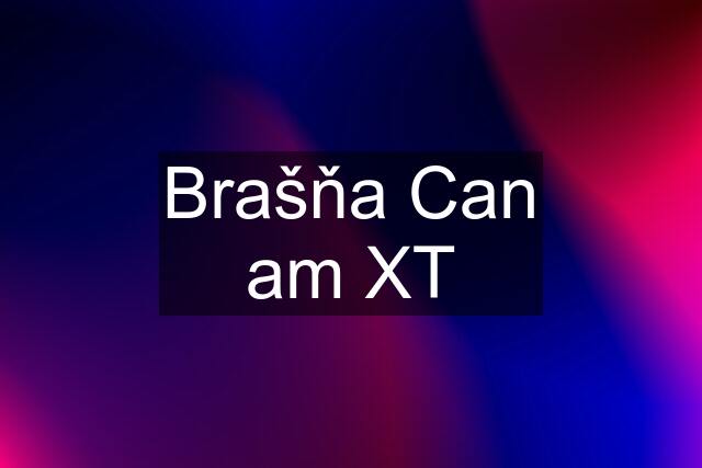 Brašňa Can am XT