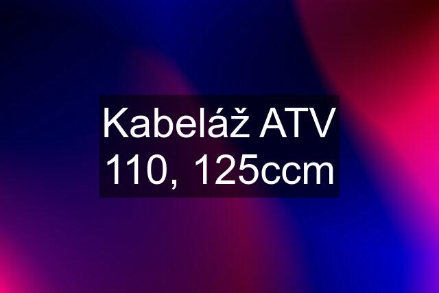 Kabeláž ATV 110, 125ccm