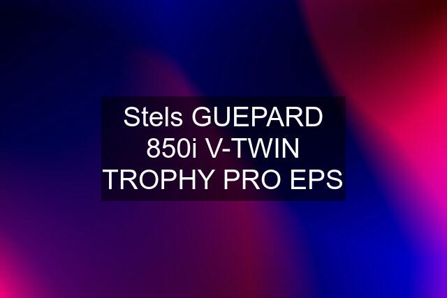 Stels GUEPARD 850i V-TWIN TROPHY PRO EPS