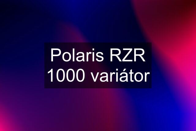 Polaris RZR 1000 variátor