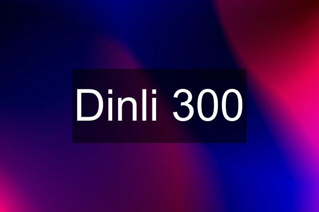 Dinli 300