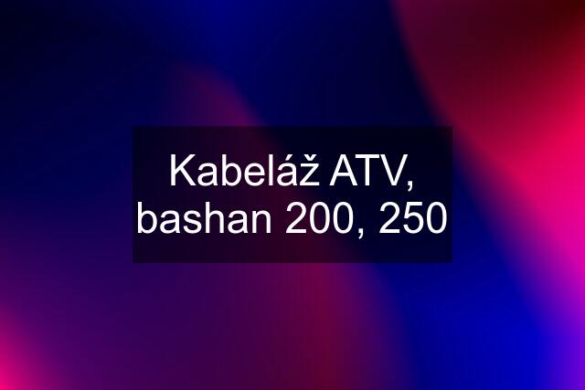 Kabeláž ATV, bashan 200, 250