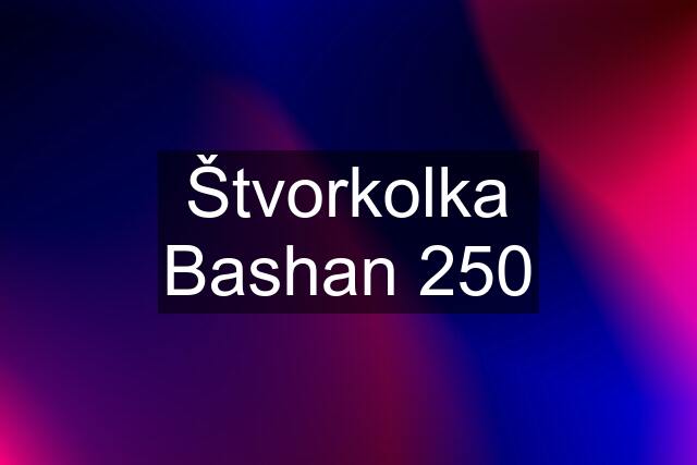 Štvorkolka Bashan 250