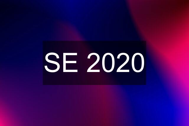 SE 2020