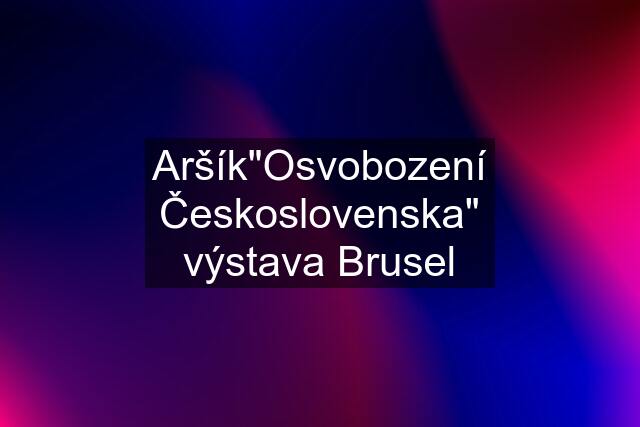 Aršík"Osvobození Československa" výstava Brusel